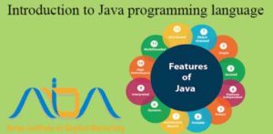 Introduction to Java programming language