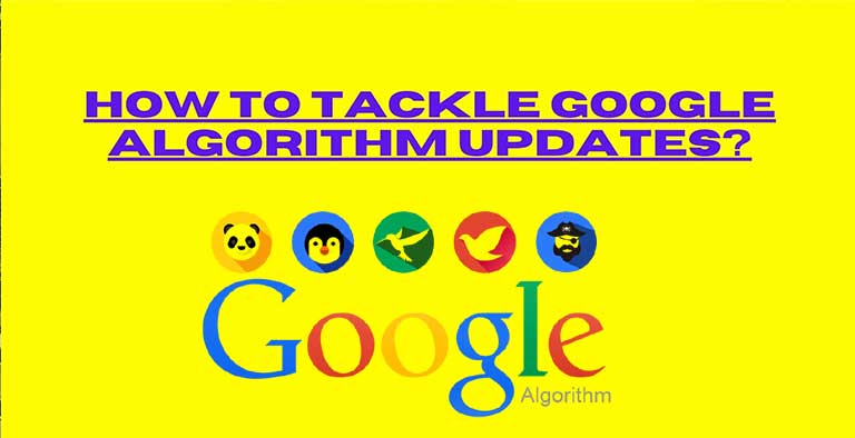 How to tackle Google algorithm updates?
